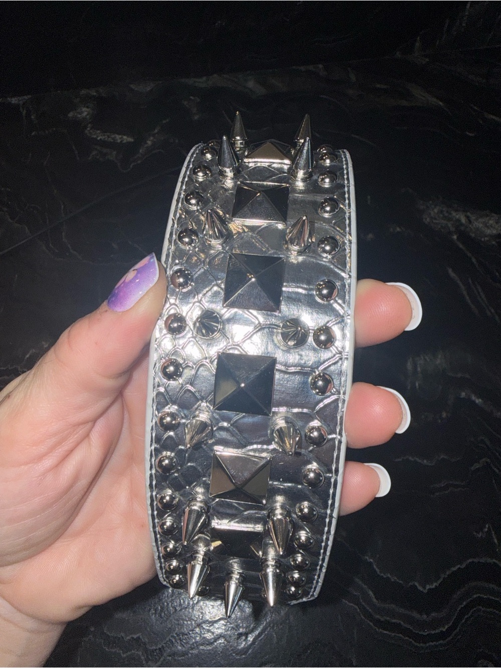 Studded Silver Spike dog collar - Metallic